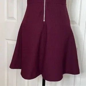 Banana Republic Burgundy Ponte Fit & Flare Knit Short Sleeve Dress Size 10P (1)